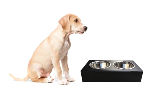 ODOLPLUSZ Futternapf 2er Set mit Metallständer 0,9l | Futterstation Katzen Hundenapf - Fressnapf und Wassernapf für Katzen und kleine Hunde ODOLPLUSZ Futternapf 2er Set mit Metallständer 0,9l | Futterstation Katzen Hundenapf - Fressnapf und Wassernapf für Katzen und kleine Hunde von Odolplusz