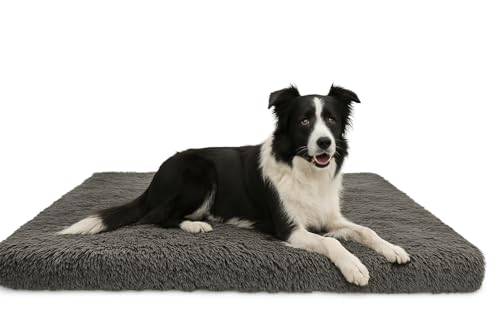 Odolplusz Hundebett Grosse Hunde, Waschbar Hundekissen flauschig 120x80x10cm | Haustierbett Hundematratze (Graphit) von Odolplusz