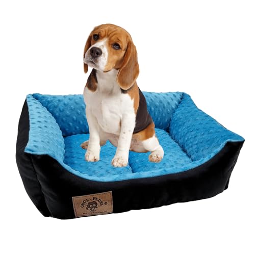 Odolplusz Hundebett Hundekorb Hundesofa | Antibakteriell & Geruchsneutral | Tierbett kleine Hunde | mit Silikonkugelnfüllung | Allergenfrei | 50x40 cm (schwarz + Minky blau) von Odolplusz