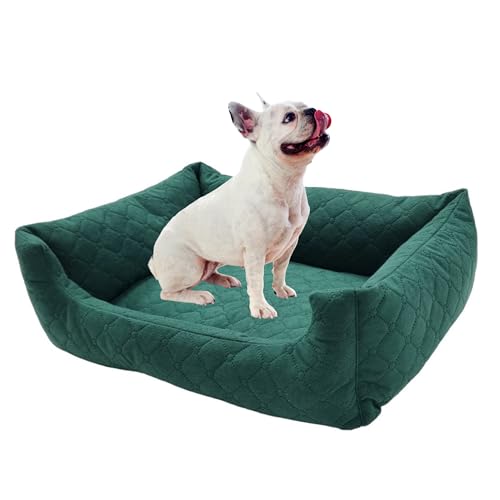 Odolplusz Hundebett Kleine Hunde und Katzen | Hundesofa Hundekorb mit erhöhten Ränder | verfügbar in Zwei Größen | (flaschengrün, M (70 x 60cm)) von Odolplusz