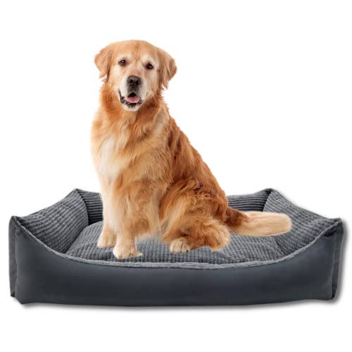 Odolplusz XXL Hundebett für große Hunde – Hundekissen – Hundebett Ergonomisches Hundesofa (Graphit aus Cord, L 100 x B 70 x H 19 cm) von Odolplusz