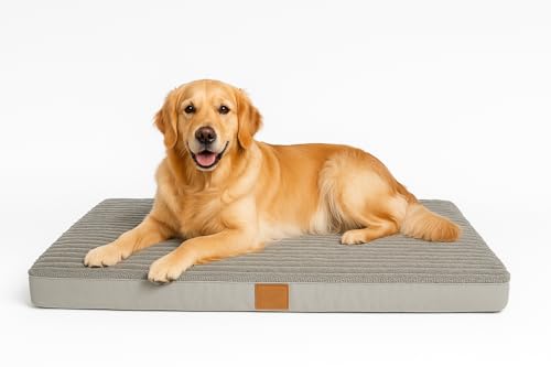 Odolplusz ODOL-PLUSZ Orthopädisches Hundebett, groß, 100x70x7 cm, Hundekissen flauschig Hundematte waschbar (100x70x7cm) von Odolplusz
