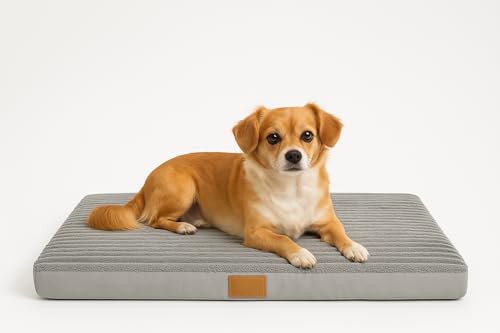 Odolplusz ODOL-PLUSZ Orthopädisches Hundebett, groß, 100x70x7 cm, Hundekissen flauschig Hundematte waschbar (80x60x7cm) von Odolplusz