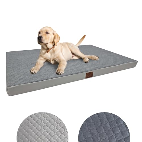 Odolplusz Orthopädisches Hundebett Grosse Hunde | Hundekissen für mittelgroße und große Hunde | Hundematratze mit Waschbarem Bezug | (Grau, 100x70x7cm) von Odolplusz