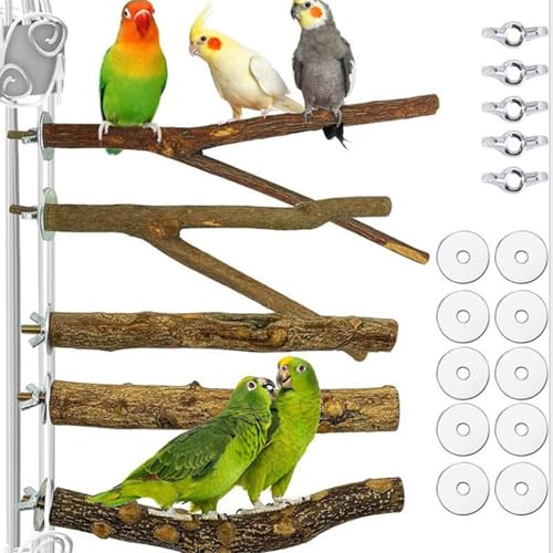 Odoukey 5pcs natürliches Holz -Papageienspielzeug, hängende Vogelperchzweige für Sittiche, Kakadosen, Vogelkäfige Odoukey 5pcs natürliches Holz -Papageienspielzeug, hängende Vogelperchzweige für Sittiche, Kakadosen, Vogelkäfige von Odoukey