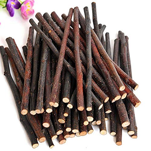 Ogquaton Natürliche Holz Chew Sticks Zweige für kleine Haustiere Kaninchen Hamster Meerschweinchen Spielzeug praktisch und beliebt von Jlwiy
