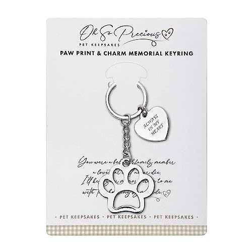 Schlüsselanhänger mit Pfotenmotiv, Aufschrift "Always In My Heart", graviertes Haustier-Andenken, Geschenk zum Trostverlust, 7 cm Pfotenanhänger, 2,5 cm Herzanhänger Schlüsselanhänger mit Pfotenmotiv, Aufschrift "Always In My Heart", graviertes Haustier-Andenken, Geschenk zum Trostverlust, 7 cm Pfotenanhänger, 2,5 cm Herzanhänger von Oh So Precious Pet Keepsakes