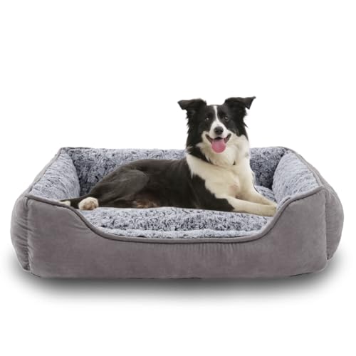 Oiilores Großes Hundebett, waschbares Hundesofa, beruhigendes Anti-Angst-Haustierbett mit rutschfester Unterseite, weiches Plüsch, rechteckig, große Hunde, 90 x 70 cm, Grau Oiilores Großes Hundebett, waschbares Hundesofa, beruhigendes Anti-Angst-Haustierbett mit rutschfester Unterseite, weiches Plüsch, rechteckig, große Hunde, 90 x 70 cm, Grau von Oiilores