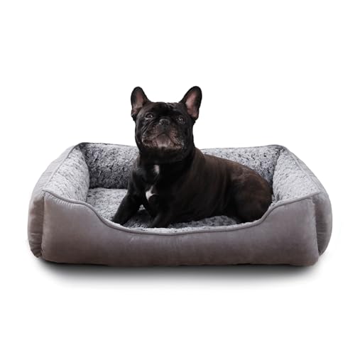 Oiilores Hundebett, waschbar, weicher Plüsch, beruhigende Anti-Angst-rechteckige Matratze mit rutschfester Unterseite, 75 x 55 cm, Grau von Oiilores