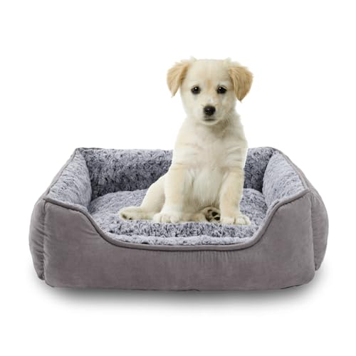 Oiilores Kleines Hundebett, waschbares Hundesofa, beruhigendes Anti-Angst-Haustierbett mit rutschfester Unterseite, weiches Plüsch, rechteckig, Hundebetten für kleine Hunde, 50 x 48 cm, Grau Oiilores Kleines Hundebett, waschbares Hundesofa, beruhigendes Anti-Angst-Haustierbett mit rutschfester Unterseite, weiches Plüsch, rechteckig, Hundebetten für kleine Hunde, 50 x 48 cm, Grau von Oiilores