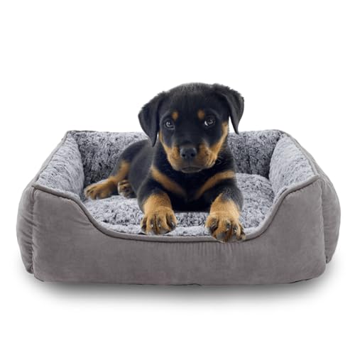 Oiilores Kleines Hundesofa, waschbar, weiches Plüsch, beruhigende Betten mit rutschfester Unterseite, rechteckig, Anti-Angst-Welpenmatte (50 x 48 cm, Grau) von Oiilores