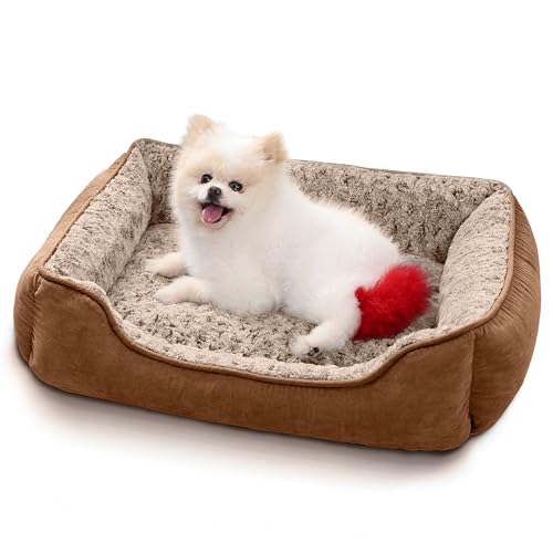 Oiilores Kleines Hundesofabett, waschbar, weiches Plüsch, beruhigende Betten mit rutschfester Unterseite, Anti-Angst-Rechteck-Welpenmatte (60 x 45 cm, Braun) von Oiilores