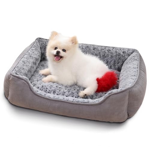 Oiilores Kleines Hundesofabett, waschbar, weiches Plüsch, beruhigende Betten mit rutschfester Unterseite, Anti-Angst-Rechteck-Welpenmatte (60 x 45 cm, Grau) von Oiilores