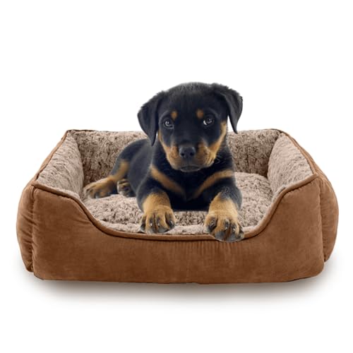 Oiilores Kleines Hundesofabett, waschbar, weiches Plüsch, beruhigende Betten mit rutschfester Unterseite, rechteckig, Anti-Angst-Welpenmatte (50 x 48 cm, Braun) von Oiilores