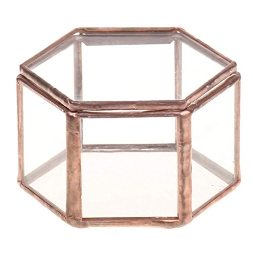 Oikabio Geometrische Glas-Terrarium-Box, Schmuckkästchen, Sukkulenten-Blumentopf, Dekoration, sechseckige Form von Oikabio