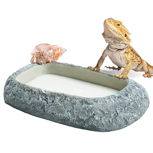 Oikrw Reptilien-Futternapf, Wasserschale und Futternapf, Kunstharzfelsen, Reptilien-Futterterrarium, Eckschalen für Bartdrachen, Eidechse, Frosch, Gecko, Schildkröte, Einsiedlerkrebs-Schnecke Oikrw Reptilien-Futternapf, Wasserschale und Futternapf, Kunstharzfelsen, Reptilien-Futterterrarium, Eckschalen für Bartdrachen, Eidechse, Frosch, Gecko, Schildkröte, Einsiedlerkrebs-Schnecke von Oikrw