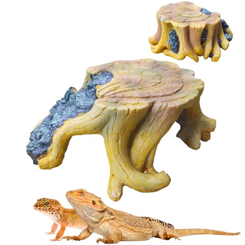Natürliche Höhlen für Reptilien, geeigneter Lebensraum für Reptilien-Haustiere und Amphibien, wie Verstecken von Höhlen für Eidechsen, Schlangen, Schildkröten, Geckos, Frösche, Skorpione, Spinnen usw Natürliche Höhlen für Reptilien, geeigneter Lebensraum für Reptilien-Haustiere und Amphibien, wie Verstecken von Höhlen für Eidechsen, Schlangen, Schildkröten, Geckos, Frösche, Skorpione, Spinnen usw von Oiuyamn