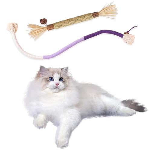 Oiuyamn Baumwollseilspielzeug für Katzen, Silberranke Katzenkauspielzeug-Set, Katzenminze-Seilspielzeug, natürliche silberne Rebe Katze interaktives Spielzeug, interaktives Seilspielzeug zum Reinigen von Oiuyamn