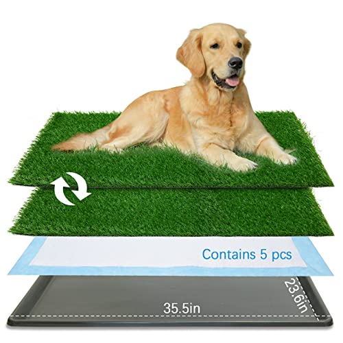 Oiyeefo Hunde-Grasunterlage mit Tablett, 90,2 x 59,9 cm, für den Innenbereich, 2 Bilder, Ersatz-Grasmatten, 5 Stück, Einweg-Welpen-Pads, für Welpen-Training, Wohnung, Balkon und Wohnung (groß) von Oiyeefo