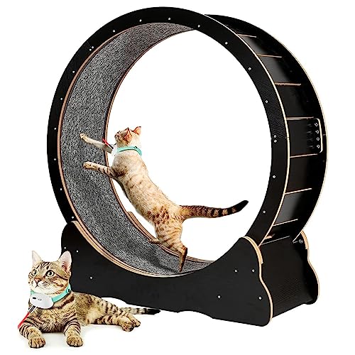 Innenkatze Laufrad, Sicherheit Anti-Pinch-Katzenspielzeugübung, alle Pet Cat Treadmill für alle Haustiere Fitness-Verlust-Gewicht, Katzen-Laufband mit No-Gap-Design,Black-M Innenkatze Laufrad, Sicherheit Anti-Pinch-Katzenspielzeugübung, alle Pet Cat Treadmill für alle Haustiere Fitness-Verlust-Gewicht, Katzen-Laufband mit No-Gap-Design,Black-M von Oiyekntd