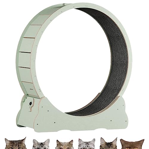 Innenkatze Laufrad, Sicherheit Anti-Pinch-Katzenspielzeugübung, alle Pet Cat Treadmill für alle Haustiere Fitness-Verlust-Gewicht, Katzen-Laufband mit No-Gap-Design,Green-M Innenkatze Laufrad, Sicherheit Anti-Pinch-Katzenspielzeugübung, alle Pet Cat Treadmill für alle Haustiere Fitness-Verlust-Gewicht, Katzen-Laufband mit No-Gap-Design,Green-M von Oiyekntd