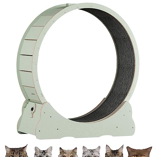 Innenkatze Laufrad, Sicherheit Anti-Pinch-Katzenspielzeugübung, alle Pet Cat Treadmill für alle Haustiere Fitness-Verlust-Gewicht, Katzen-Laufband mit No-Gap-Design,Green-M von Oiyekntd