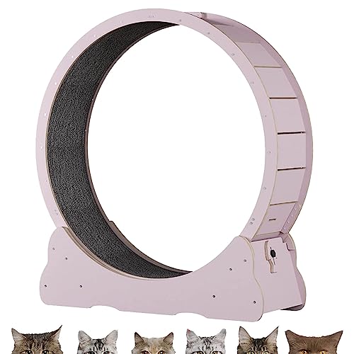 Innenkatze Laufrad, Sicherheit Anti-Pinch-Katzenspielzeugübung, alle Pet Cat Treadmill für alle Haustiere Fitness-Verlust-Gewicht, Katzen-Laufband mit No-Gap-Design,Pink-L Innenkatze Laufrad, Sicherheit Anti-Pinch-Katzenspielzeugübung, alle Pet Cat Treadmill für alle Haustiere Fitness-Verlust-Gewicht, Katzen-Laufband mit No-Gap-Design,Pink-L von Oiyekntd