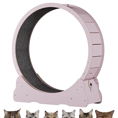 Innenkatze Laufrad, Sicherheit Anti-Pinch-Katzenspielzeugübung, alle Pet Cat Treadmill für alle Haustiere Fitness-Verlust-Gewicht, Katzen-Laufband mit No-Gap-Design,Pink-L von Oiyekntd