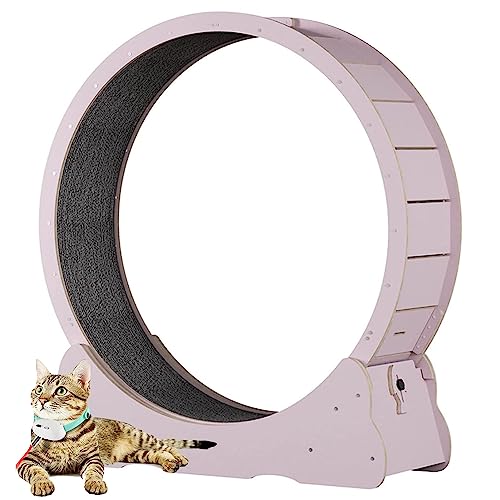 Innenkatze Laufrad, Sicherheit Anti-Pinch-Katzenspielzeugübung, alle Pet Cat Treadmill für alle Haustiere Fitness-Verlust-Gewicht, Katzen-Laufband mit No-Gap-Design,Pink-XL Innenkatze Laufrad, Sicherheit Anti-Pinch-Katzenspielzeugübung, alle Pet Cat Treadmill für alle Haustiere Fitness-Verlust-Gewicht, Katzen-Laufband mit No-Gap-Design,Pink-XL von Oiyekntd