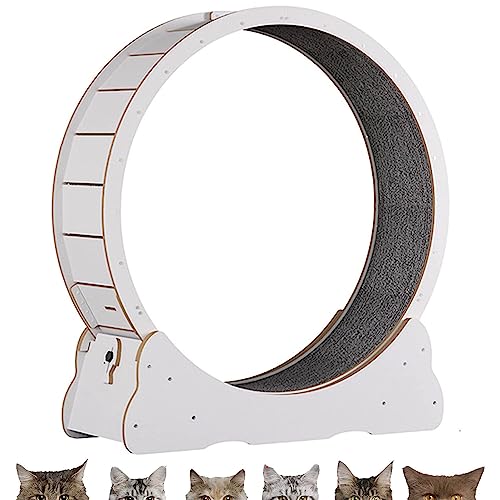 Innenkatze Laufrad, Sicherheit Anti-Pinch-Katzenspielzeugübung, alle Pet Cat Treadmill für alle Haustiere Fitness-Verlust-Gewicht, Katzen-Laufband mit No-Gap-Design,White-L von Oiyekntd