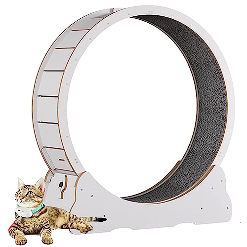 Katzenrad -Übende für Innenkatze, Verbessertes Katzenlaufrad mit Katzenkratzer, großes Katzen-Laufband-Katzen-Katze-Gehen mit Stiller Landebahn und No-Gap-Design,White-L Katzenrad -Übende für Innenkatze, Verbessertes Katzenlaufrad mit Katzenkratzer, großes Katzen-Laufband-Katzen-Katze-Gehen mit Stiller Landebahn und No-Gap-Design,White-L von Oiyekntd