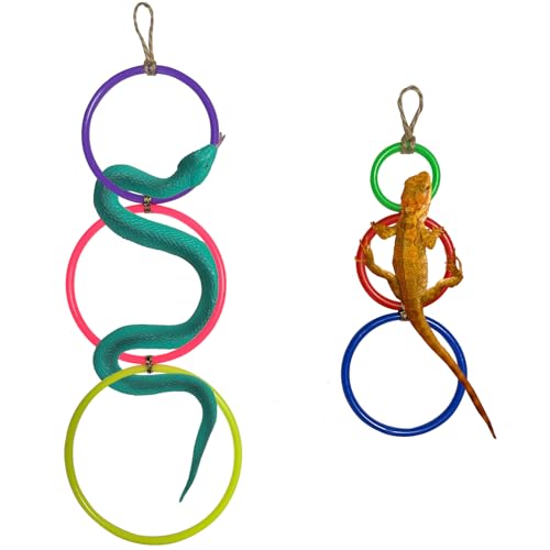 Bunte Ringe für Kugel-Python-Spielplatz, Kletterspielzeug für Maisschlange, Spielzeug, Schlangenklettern, geeignet für Bartagamen, Chamäleon, Leguan, Gecko, Eidechse, Papagei, 2 Stück Bunte Ringe für Kugel-Python-Spielplatz, Kletterspielzeug für Maisschlange, Spielzeug, Schlangenklettern, geeignet für Bartagamen, Chamäleon, Leguan, Gecko, Eidechse, Papagei, 2 Stück von Okueejur
