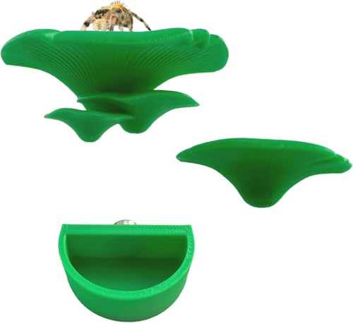 Okueejur 2 Stück Springspinnenzubehör Pilzleisten & 1 Packung Wasserschale mit Magneten für Spoods Springspinnen Magnetische Leiter Haustier Spinne Zubehör Okueejur 2 Stück Springspinnenzubehör Pilzleisten & 1 Packung Wasserschale mit Magneten für Spoods Springspinnen Magnetische Leiter Haustier Spinne Zubehör von Okueejur