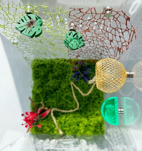 Okueejur 6-teiliges Springspinnenzubehör-Set – Springspinnenraum mit Hanfseil, springende Spinnen-Blatt-förmige Ledges, 2 Stück Springspinnennetz für Springspinnengehege Okueejur 6-teiliges Springspinnenzubehör-Set – Springspinnenraum mit Hanfseil, springende Spinnen-Blatt-förmige Ledges, 2 Stück Springspinnennetz für Springspinnengehege von Okueejur