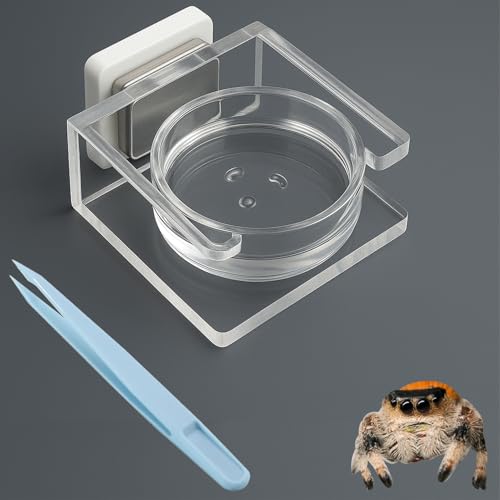 Okueejur Springende Spinne Futternapf mit Pinzette, transparentes Acryl, magnetisch, winzige Vogelspinne, Futternapf, Springspinnen-Futterspinne, Gehegezubehör für springende Spinne, Vogelspinne Okueejur Springende Spinne Futternapf mit Pinzette, transparentes Acryl, magnetisch, winzige Vogelspinne, Futternapf, Springspinnen-Futterspinne, Gehegezubehör für springende Spinne, Vogelspinne von Okueejur