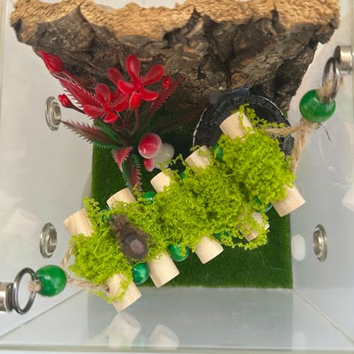 Okueejur Springende Spinnenseilbrücke, eine solide Holz-Kletter-Hängebrücke, Springspinnengehege, handgefertigtes Spinnen-Springplattform, dekoratives Zubehör für kleine Reptiliengehege Okueejur Springende Spinnenseilbrücke, eine solide Holz-Kletter-Hängebrücke, Springspinnengehege, handgefertigtes Spinnen-Springplattform, dekoratives Zubehör für kleine Reptiliengehege von Okueejur
