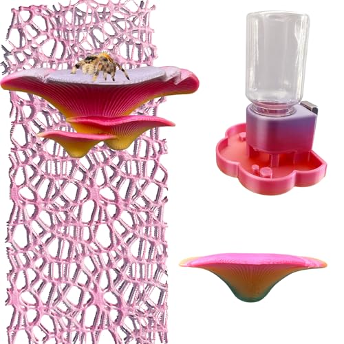 Okueejur Springspinne Zubehör Set Okueejur Springspinne Zubehör Set von Okueejur