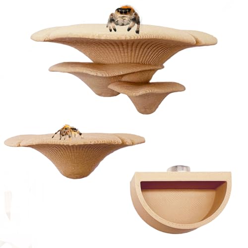 Springspinnenzubehör, Pilzleisten und 1 Packung Wassernapf mit Magneten für Spoods, springende Spinnen, magnetische Leiter, Haustierspinnenzubehör (nicht im Lieferumfang enthalten) (beige) von Okueejur