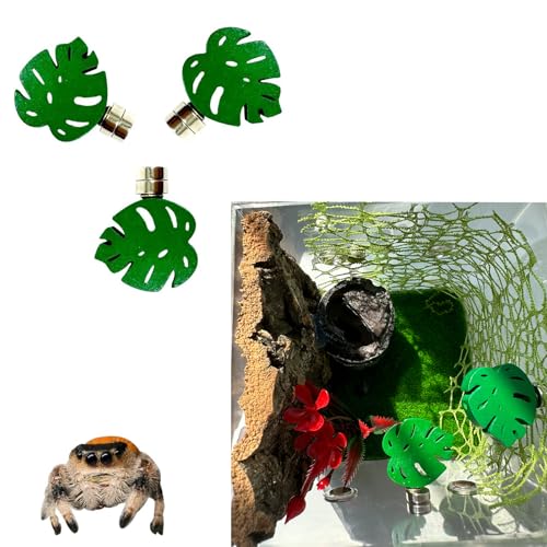 Okueejur 3 Stück Blattförmige magnetische Springspinnengehege mit starken Magneten – perfektes Zubehör für Spoods & springende Spinnen, langlebige Lebensraumdekoration (Terrarium nicht im Lieferumfang von Okueejur