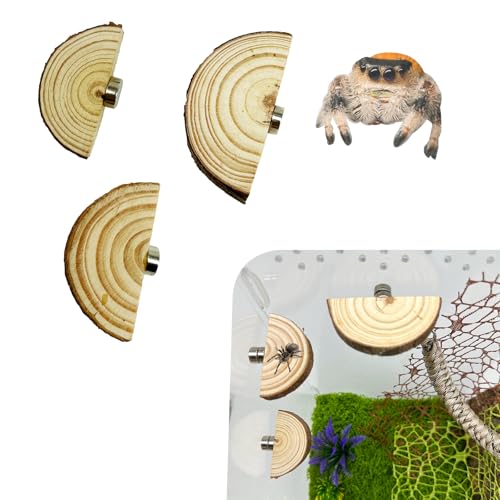 Okueejur Springspinnengehege mit Magneten, natürliche Kiefer, Spinnen, Latten, magnetische Leiter, Haustier-Springspinnenzubehör, 3 Stück Okueejur Springspinnengehege mit Magneten, natürliche Kiefer, Spinnen, Latten, magnetische Leiter, Haustier-Springspinnenzubehör, 3 Stück von Okueejur