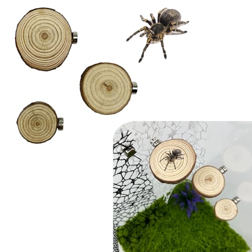 Okueejur Springspinnengehege mit Magneten, natürliche Kiefer, Spinnen, Latten, magnetische Leiter, Haustier-Springspinnenzubehör, rund, 3 Stück Okueejur Springspinnengehege mit Magneten, natürliche Kiefer, Spinnen, Latten, magnetische Leiter, Haustier-Springspinnenzubehör, rund, 3 Stück von Okueejur