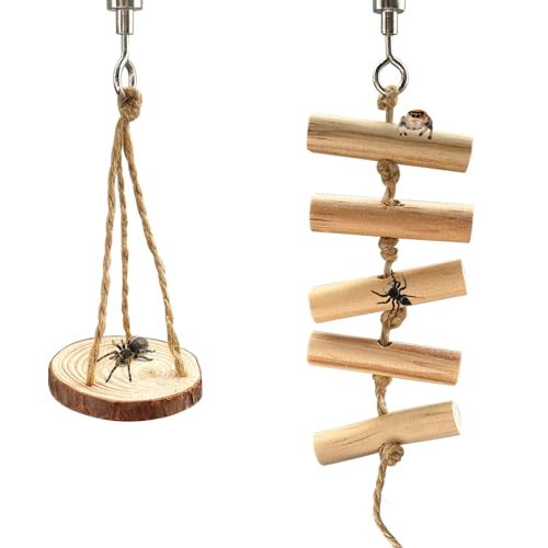 Springende Spinnenseilleiter, eine solide Holz-Kletter-Aufhängungsschaukel, ein Springspinnengehege Zubehör, handgefertigt, eine Spinnensprungplattform, verwendet als dekoratives Zubehör für kleine Springende Spinnenseilleiter, eine solide Holz-Kletter-Aufhängungsschaukel, ein Springspinnengehege Zubehör, handgefertigt, eine Spinnensprungplattform, verwendet als dekoratives Zubehör für kleine von Okueejur