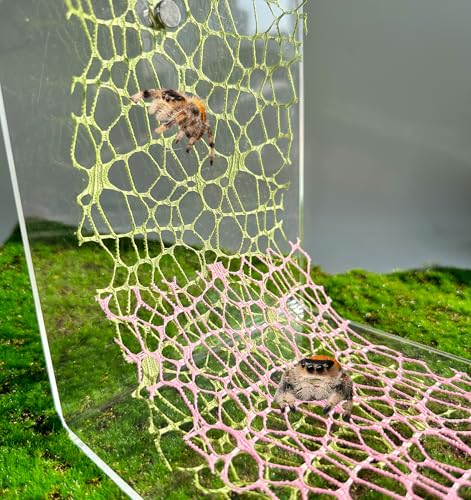 Springspinnen-Lebensraum-Zubehör, Springspinne, Moosband mit Magneten für Spoods, Springspinnen, Gehege, Spoods Klettern (nicht im Lieferumfang enthalten) (Grün + Pink) von Okueejur