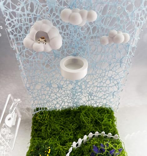 Springspinnenzubehör-Set – 6-teiliges Himmel-Themen-Set mit Wolkenplattformen, magnetischen Halterungen, weißer Futterschale und hellblauem Netz-Dekor für Springspinnenerkundung und Klettern Springspinnenzubehör-Set – 6-teiliges Himmel-Themen-Set mit Wolkenplattformen, magnetischen Halterungen, weißer Futterschale und hellblauem Netz-Dekor für Springspinnenerkundung und Klettern von Okueejur