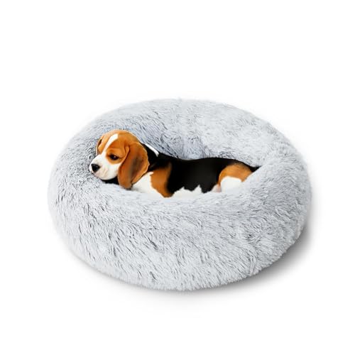 OlaPhum Beruhigendes Donut-Hundebett für kleine Hunde und Katzen, rundes beruhigendes Welpenbett, waschbar und rutschfest, für kleine und mittelgroße Haustiere, wärmendes, gemütliches, flauschiges OlaPhum Beruhigendes Donut-Hundebett für kleine Hunde und Katzen, rundes beruhigendes Welpenbett, waschbar und rutschfest, für kleine und mittelgroße Haustiere, wärmendes, gemütliches, flauschiges von OlaPhum