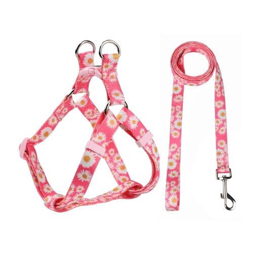Olahibi Basic Hundegeschirr und Leine, kein Ziehen, leicht zu tragen für kleine Welpen, Rosa Gänseblümchenmuster, Größe XS, Rosa Gänseblümchenmuster von Olahibi