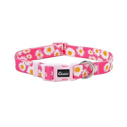 Olahibi Basic Hundehalsband, Gänseblümchen-Blumenmuster, weiches und strapazierfähiges Polyester-Material, verstellbare Länge, für Welpen (XS, rosa Gänseblümchen) von Olahibi