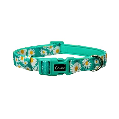 Olahibi Basic Hundehalsband, Polyester-Gurtband, gepolstert mit weichem Neopren, Gänseblümchenmuster, für große Hunde (L, grünes Gänseblümchen) von Olahibi