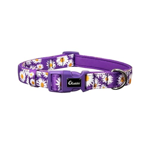 Olahibi Basic Hundehalsband, Polyester-Gurtband, gepolstert mit weichem Neopren, Gänseblümchenmuster, für große Hunde (L, lila Gänseblümchen) von Olahibi