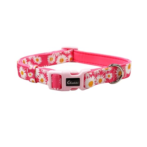 Olahibi Basic Hundehalsband, Polyester-Gurtband, gepolstert mit weichem Neopren, Gänseblümchenmuster, für mittelgroße Hunde (M, rosa Gänseblümchen) von Olahibi
